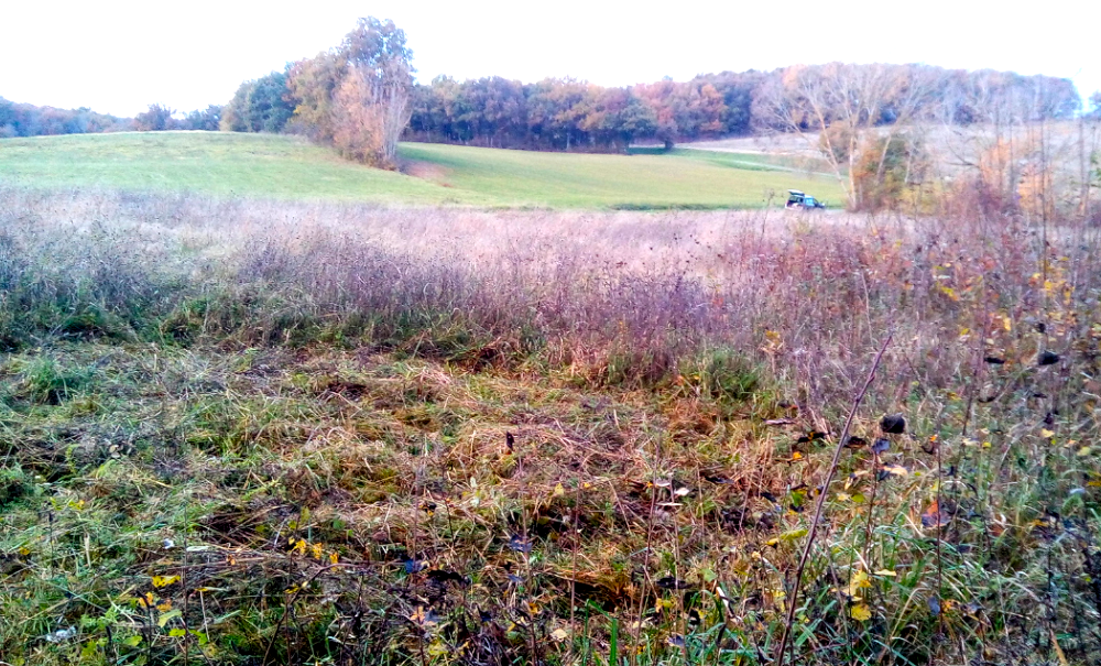 Un début d’installation