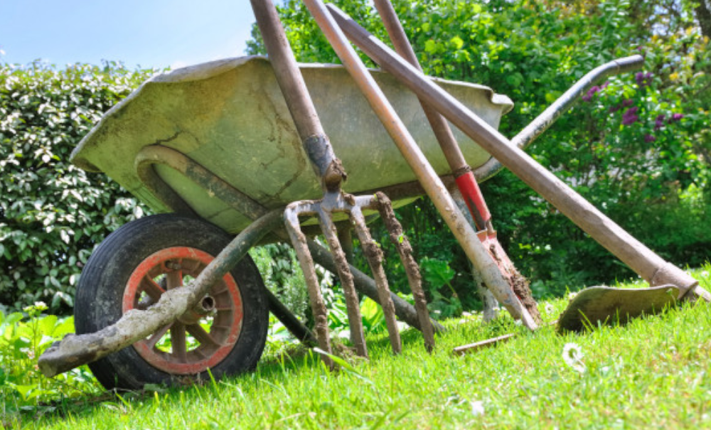 Cherche outils de jardin