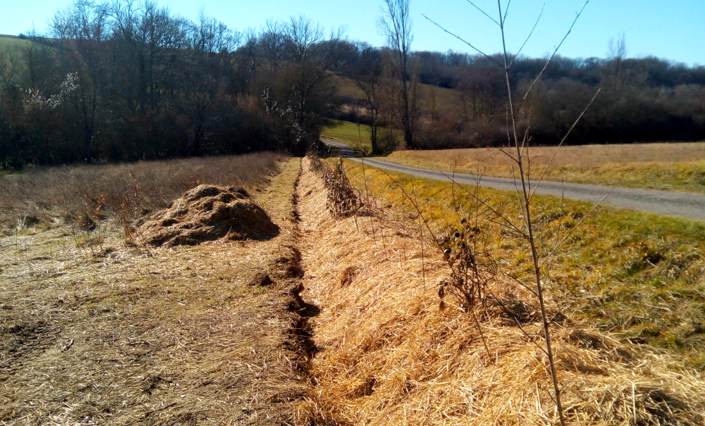 Planter en mode Land Art