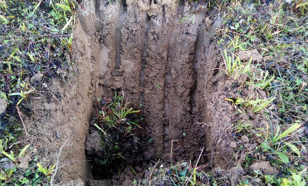 Sous les carex, de l’argile