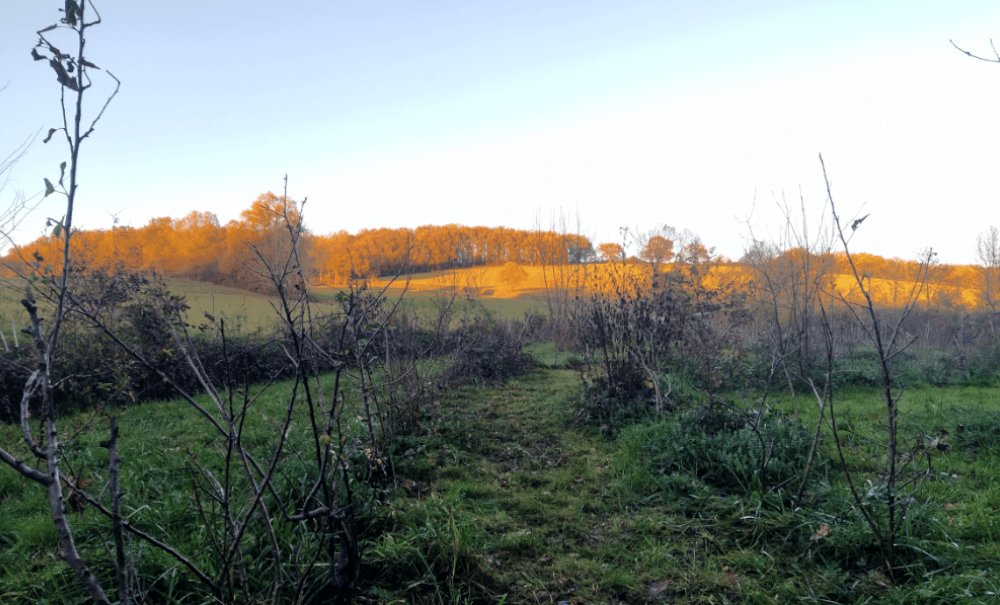 Plus que dix minutes à perdre…