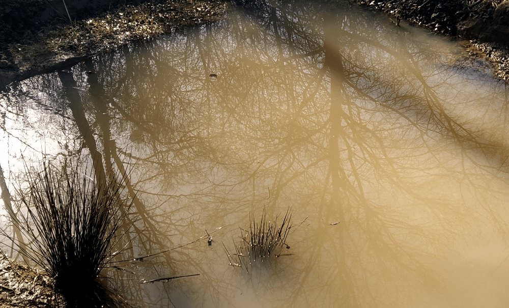 Faut s&rsquo;y faire : c&rsquo;est l&rsquo;hiver!