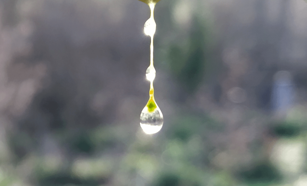 Il était une fois… la Vie