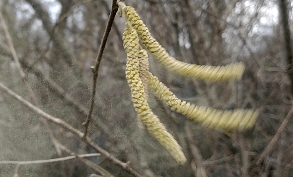 C&rsquo;est pas facile de rester debout dans la boue