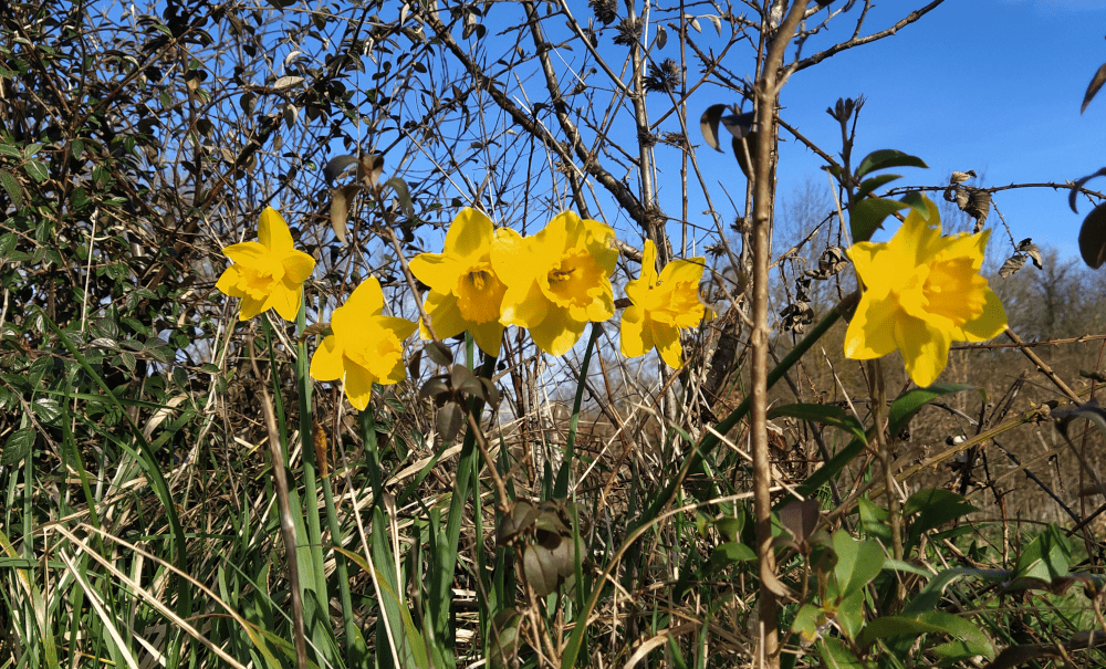 La traversée du désert